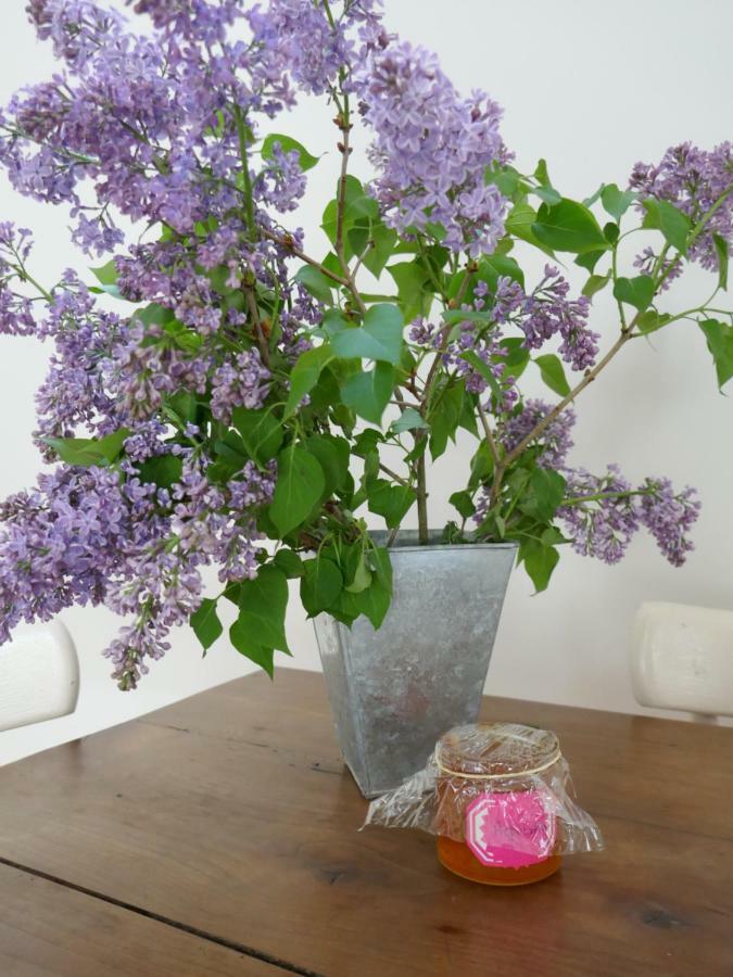 Centre Historique Calme&cosy Appartement Tours