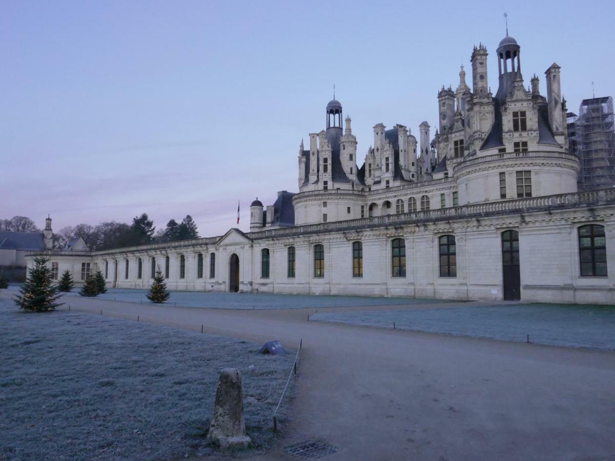 Centre Historique Calme&cosy Appartement Tours